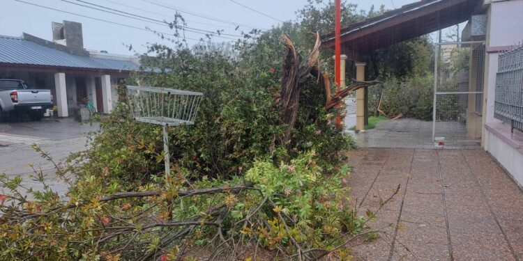 Temporal en Ordoñez: “Creemos que hubo una cola de tornado”