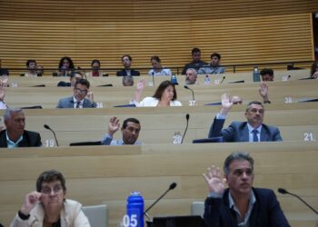 Aprobaron una ley que atiende los casos de defunción fetal