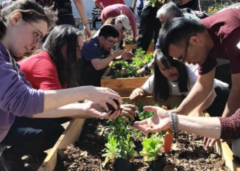 70% de organismos públicos nacionales relevados incumplen ley de cupo para personas con discapacidad