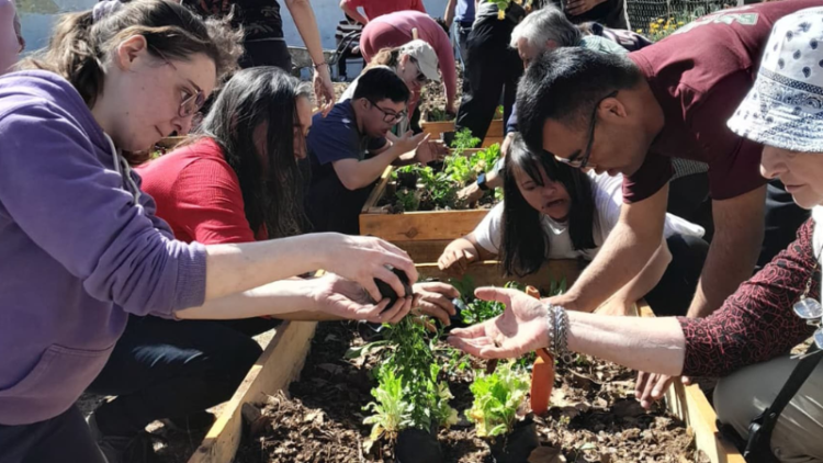 Foto: Talleres de oficios de Apadim, en donde personas de todas las edades participan de experiencias que las preparan para el mundo laboral. Fuente: unciencia.