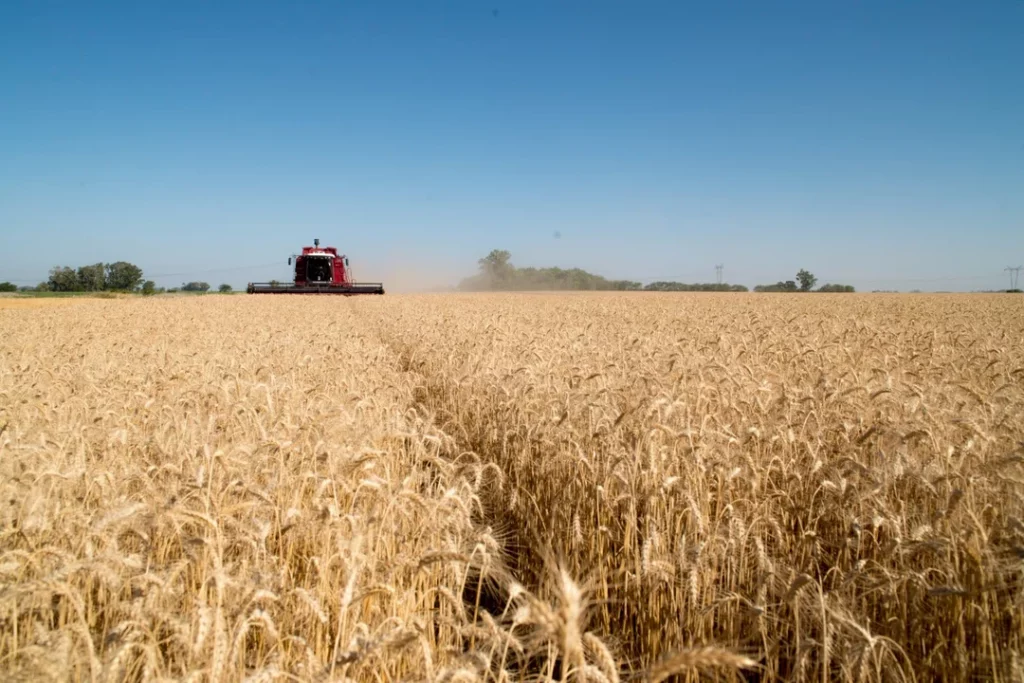 Las exportaciones agroindustriales crecieron un 51% en volumen en lo que va del año