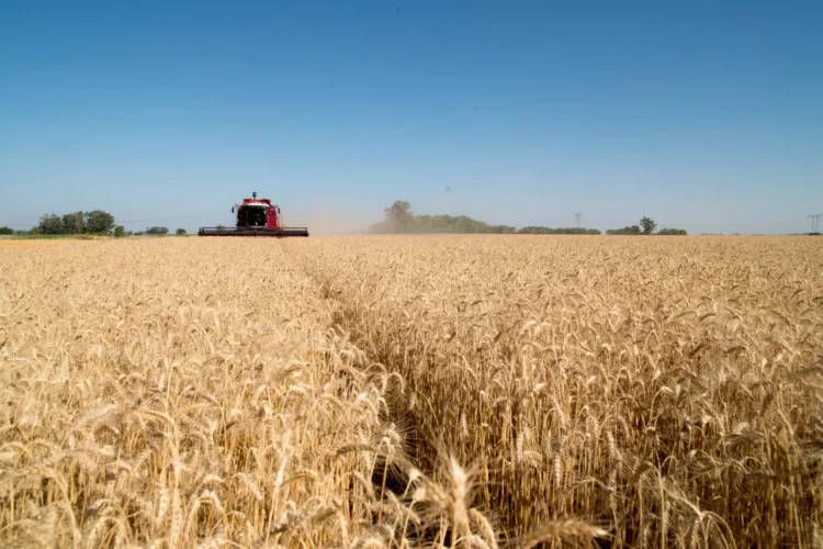 Fuerte aumento de exportaciones agroindustriales.