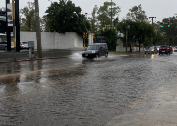 Cómo sigue el clima en las primeras horas de 2025