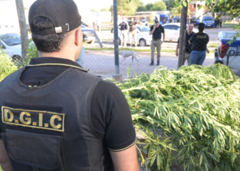 Detenidos en Córdoba tras operativo con más de 80 órdenes de allanamiento