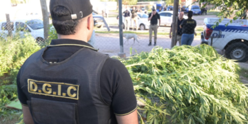 Detenidos en Córdoba tras operativo con más de 80 órdenes de allanamiento
