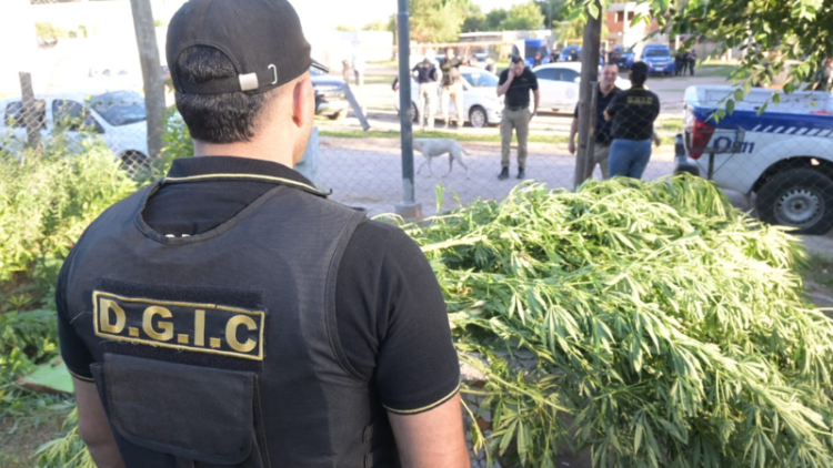 Foto: Prensa policía de Córdoba.