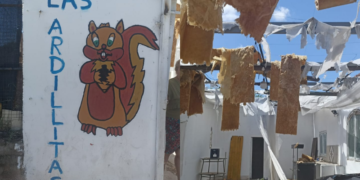 El viento voló un techo de un comedor de Barrio Bajo Pueyrredón