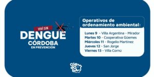 Dengue y descacharreo en la ciudad: "Es una lucha que tenemos que dar entre todos"