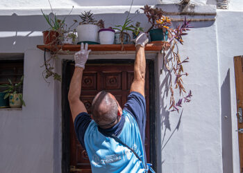 Segundo monitoreo aédico en la temporada: se realizarán visitas casa por casa