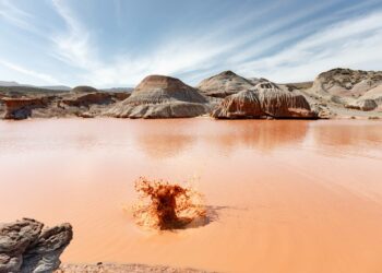 El Museo Dionisi estrena su último bloque expositivo