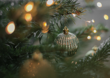 Organizan una Navidad Digna en Espacio de la Cervecería Córdoba