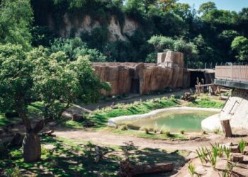 «Refugio de las Barrancas», el nuevo espacio donde vivirán los osos pardos