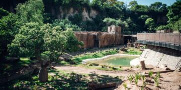 «Refugio de las Barrancas», el nuevo espacio donde vivirán los osos pardos