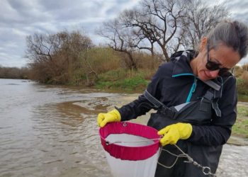 Realizan el primer monitoreo integral de microplásticos en ecosistemas de agua dulce