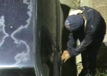 Quedó detenido tras ser captado en cámaras robando pertenencias de un vehículo