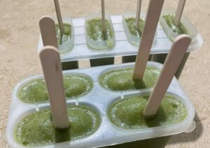 Estudiantes cordobeses crearon helados de clorofila con vegetales de su propia huerta Estudiantes cordobeses crearon helados de clorofila con vegetales de su propia huerta