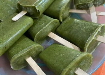 Estudiantes cordobeses crearon helados de clorofila con vegetales de su propia huerta