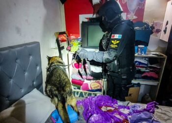 Secuestraron más de 8000 dosis de estupefacientes y desbarataron una banda narco