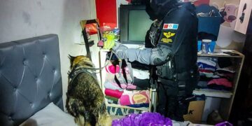 Secuestraron más de 8000 dosis de estupefacientes y desbarataron una banda narco