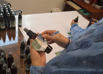 La Municipalidad comenzará a distribuir paracetamol y repelentes para mosquitos