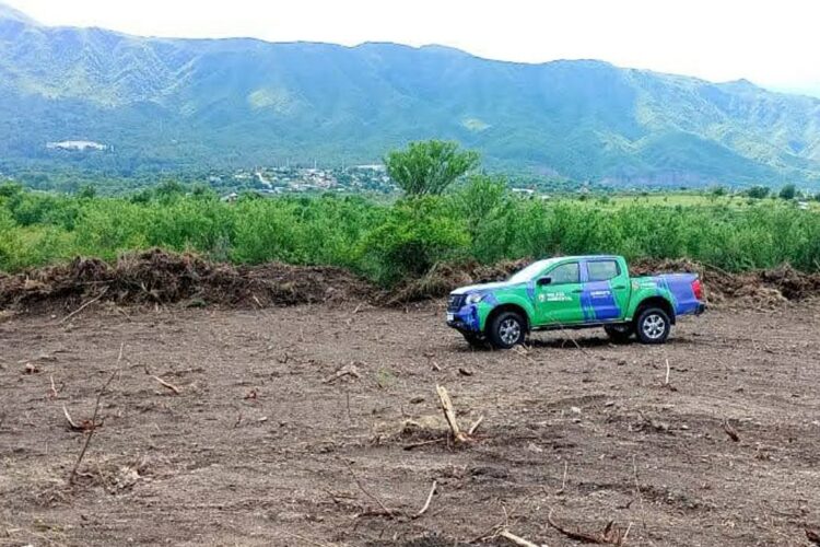 Advirtieron intervenciones forestales en Eufrasio Loza, Los Chañares (en el paraje La Cañada) y en Bialet Massé.