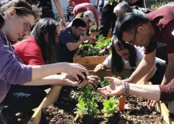 La dura realidad laboral de las personas con discapacidad