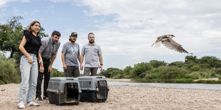 Liberaron 48 animales silvestres en su hábitat natural