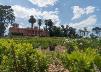 El Parque del Chateau tiene nuevo horario extendido