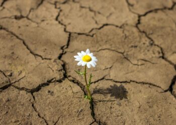 Día Mundial de la Lucha contra la Depresión: la importancia de una actitud resiliente