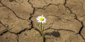 Día Mundial de la Lucha contra la Depresión: la importancia de una actitud resiliente