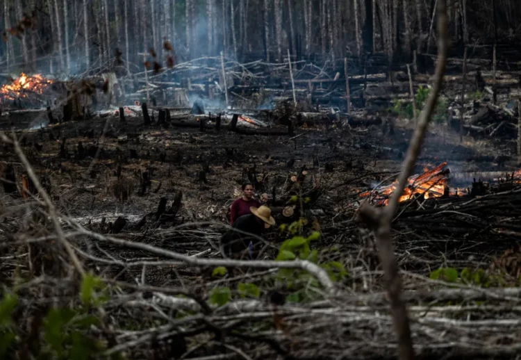 Fotografía de archivo de personas prendiendo fuego en un área boscosa en Careiro Castanho, Amazonas (Brasil).