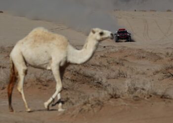 El Rally Dakar poner primera