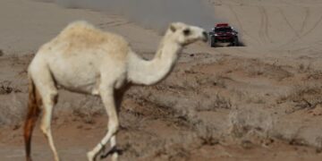 El Rally Dakar poner primera