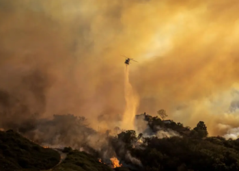 California declara estado de emergencia por incendios forestales