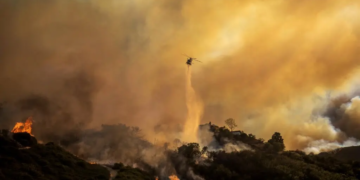 California declara estado de emergencia por incendios forestales