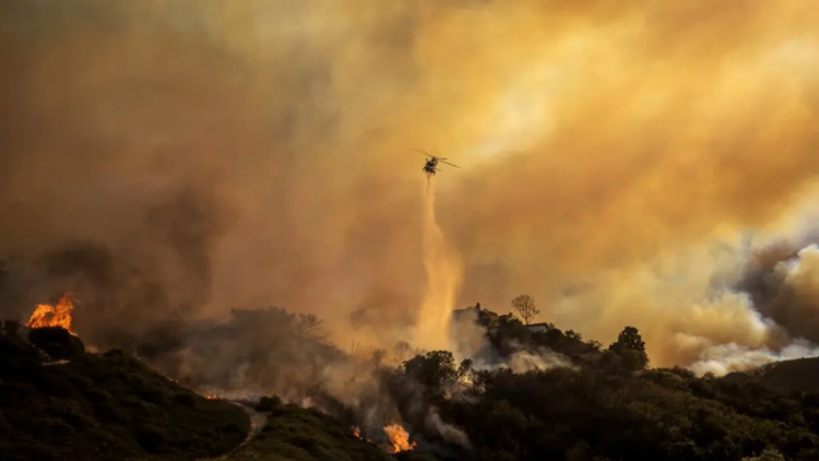 Foto: The New York Times.