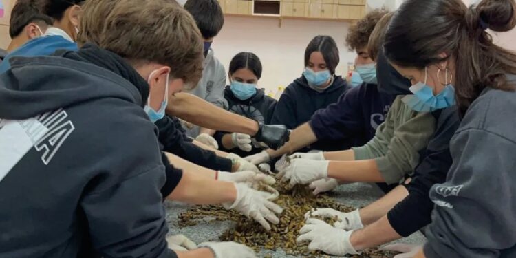 Estudiantes transformaron las colillas de cigarrillos en agendas y lograron reconocimiento internacional