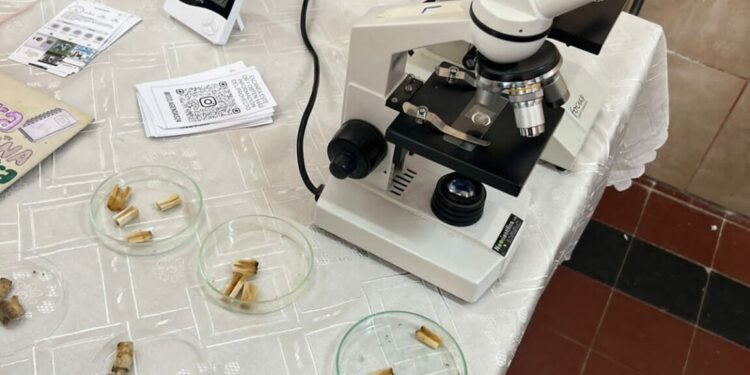 Estudiantes transformaron las colillas de cigarrillos en agendas y lograron reconocimiento internacional