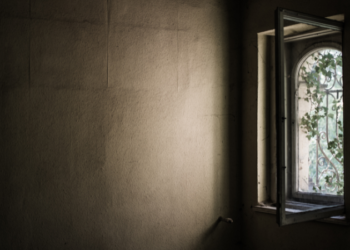 La ventana de Overton