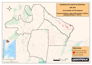 Se perdieron 150.000 hectáreas de bosques en el norte argentino producto de la deforestación Se perdieron 150.000 hectáreas de bosques en el norte argentino producto de la deforestación