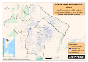 Se perdieron 150.000 hectáreas de bosques en el norte argentino producto de la deforestación