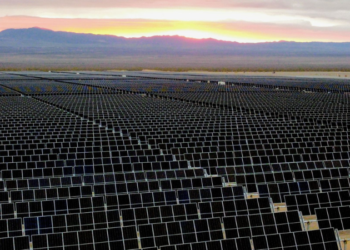 Primer proyecto RIGI aprobado: YPF Luz invertirá en un parque solar en Mendoza