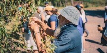 Caminata de recolección de semillas: una invitación a descubrir la flora nativa cordobesa