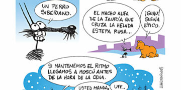 Tutuca