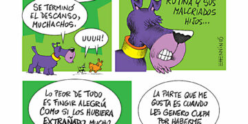 Tutuca