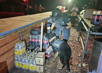 Secuestraron éxtasis, cocaína y marihuana en una fiesta electrónica