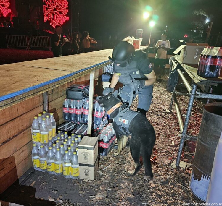 Controles preventivos durante una fiesta electrónica en Villa del Dique.