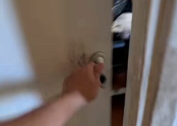 Alquilaron un departamento en Mar del Plata por $ 100.000 y se llevaron una sorpresa