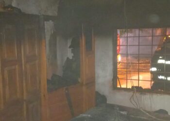 Así rescataron a un gato de una casa que se estaba incendiando