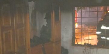 Así rescataron a un gato de una casa que se estaba incendiando